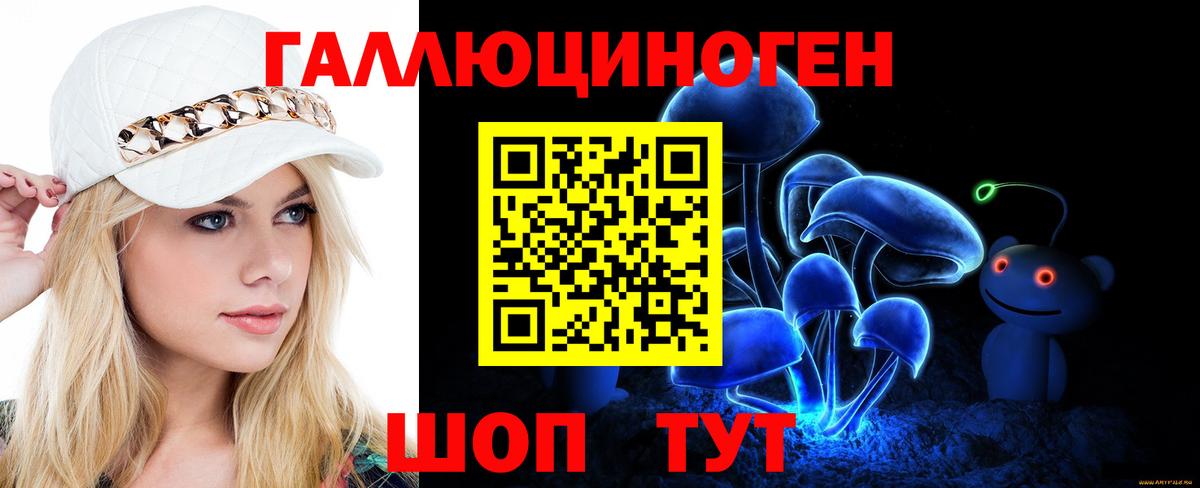 Кимовск  сколько стоит  Вход с VPN  Галлюциногенные грибы Psilocybine cubensis 